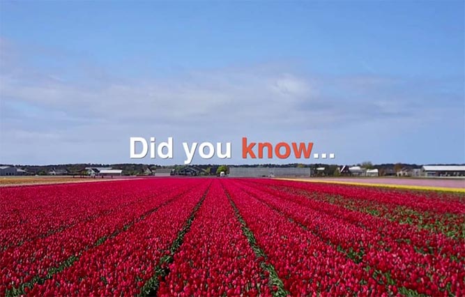 videoproductie Den Haag